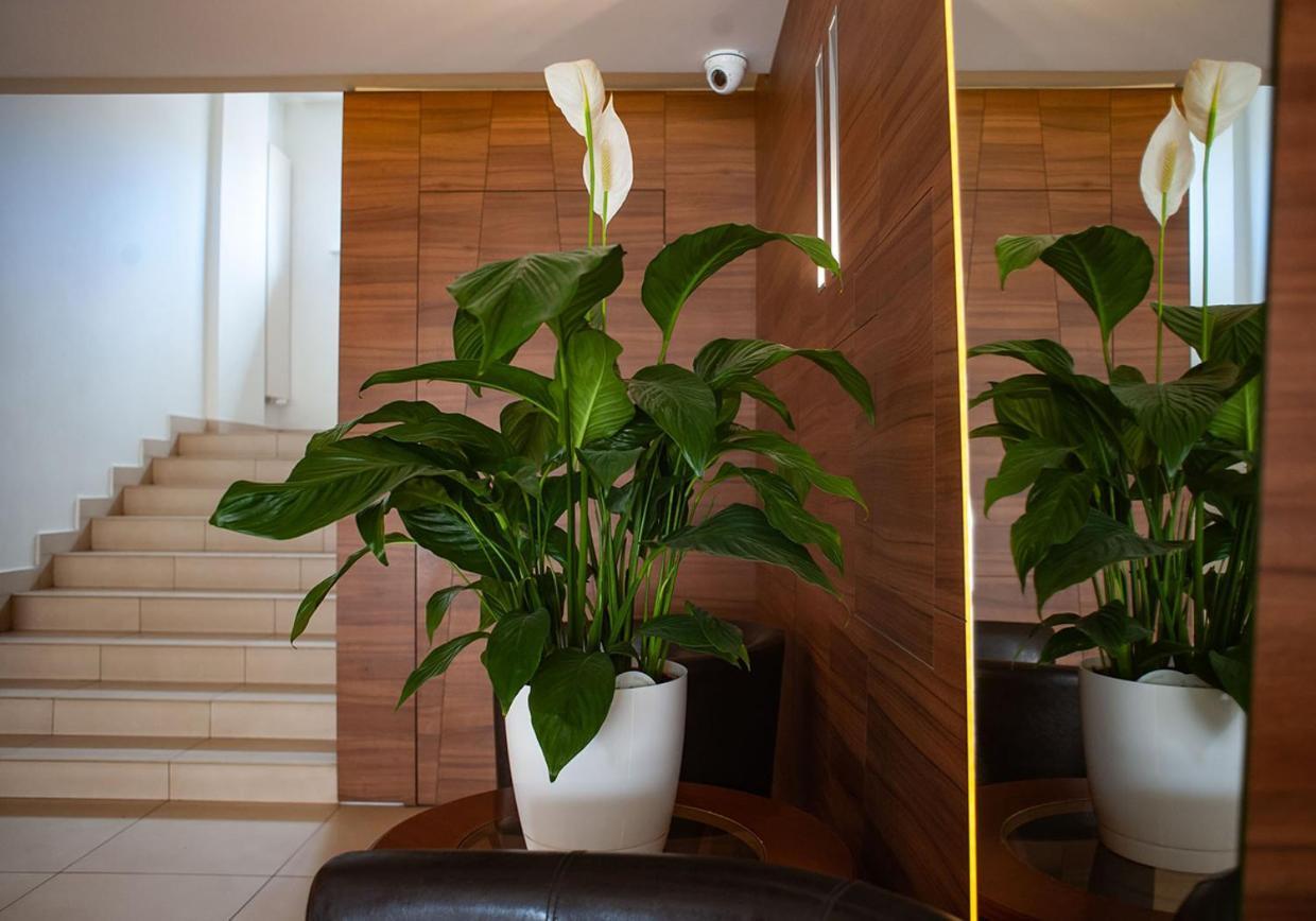 Hotel Livia 보워민 외부 사진